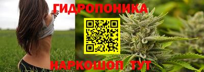 эйфоретик Коммунар