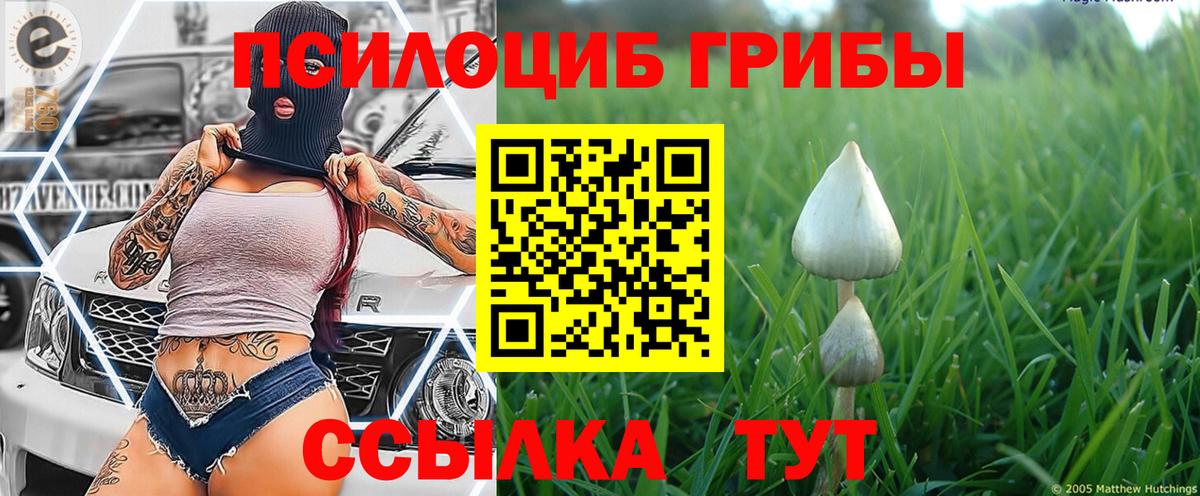 Псилоцибиновые грибы GOLDEN TEACHER Тольятти