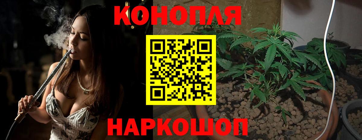 МАРИХУАНА планчик Тольятти